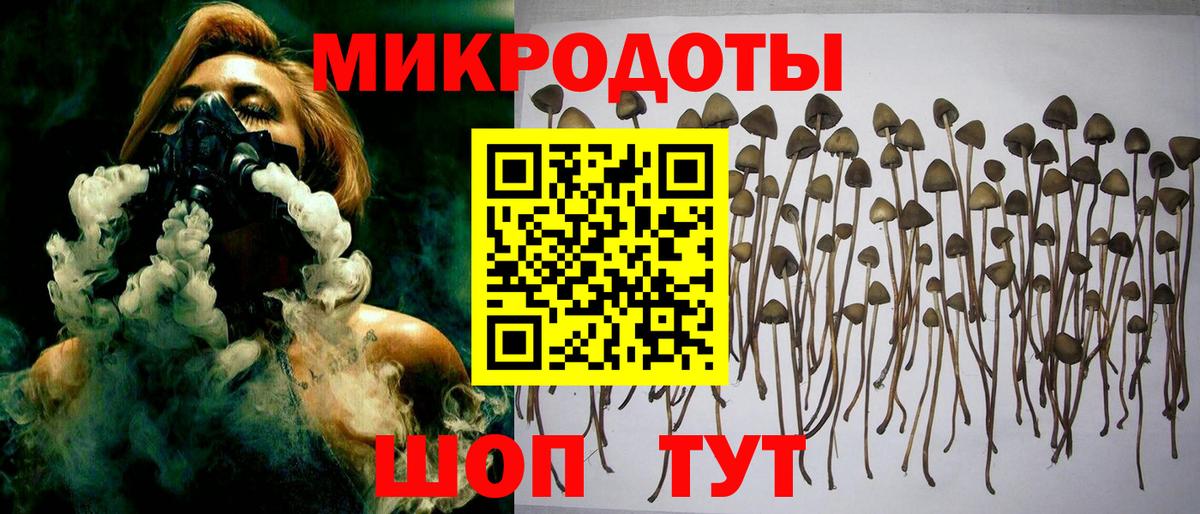 Псилоцибиновые грибы мицелий  Вход с VPN  Чебаркуль 
